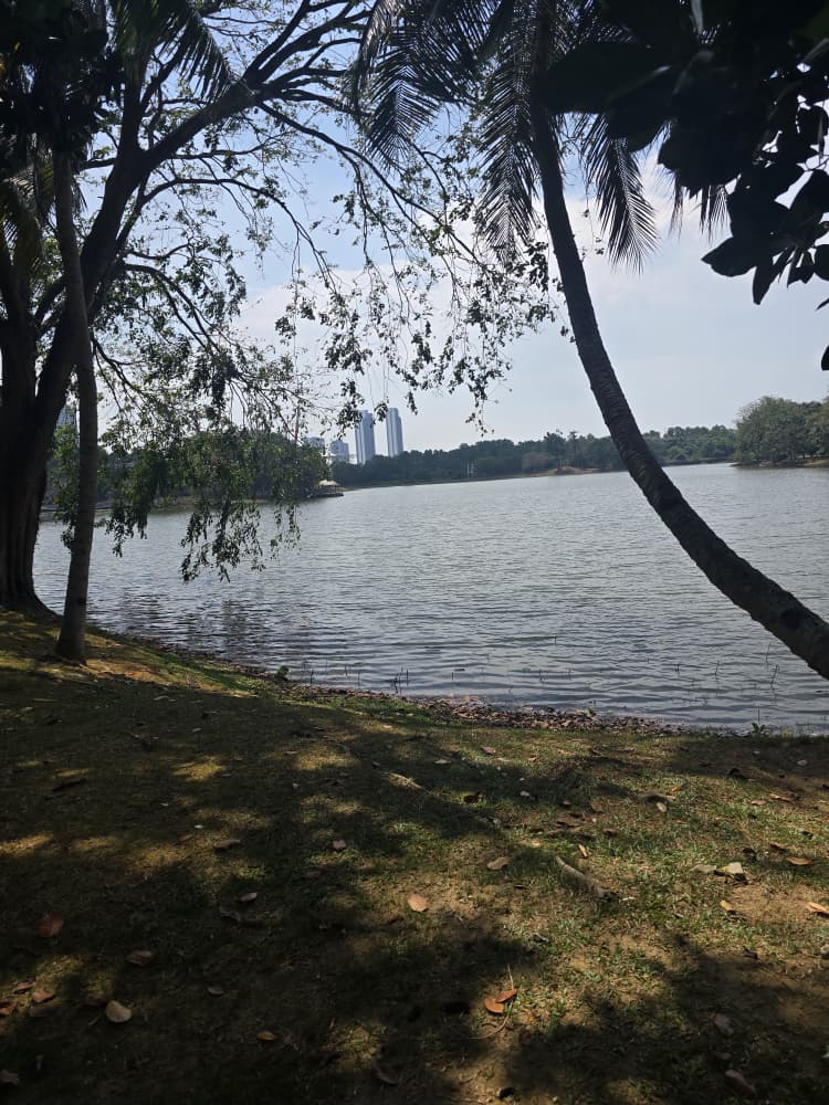 لقطة للبحيرة نهاراً